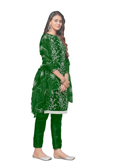 Baronial Organza Green Embroidered Pant Style Suit