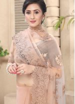 Haute Net Resham Pink Designer Saree