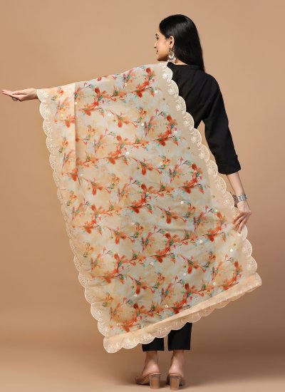 
                            Beige Organza Party Dupatta