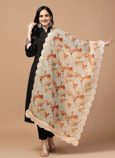 Beige Organza Party Dupatta