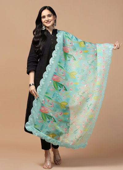 Organza Dupatta in Aqua Blue