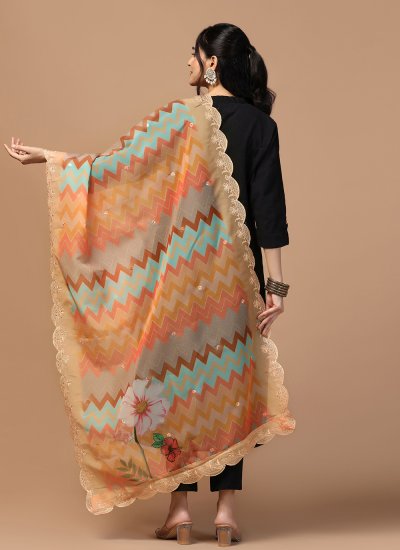 
                            Organza Dupatta in Multi Colour
