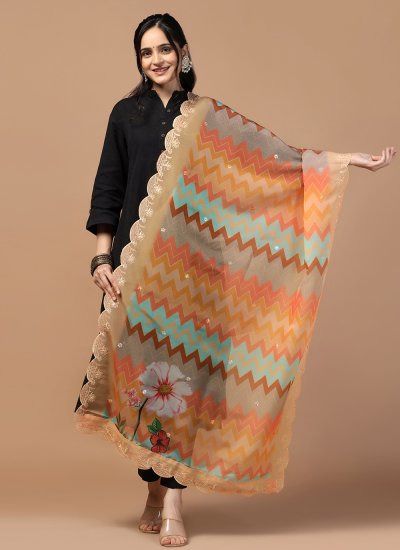Organza Dupatta in Multi Colour