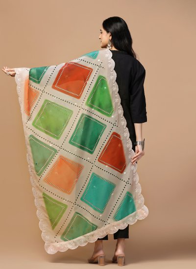 
                            Organza Embroidered Beige Dupatta