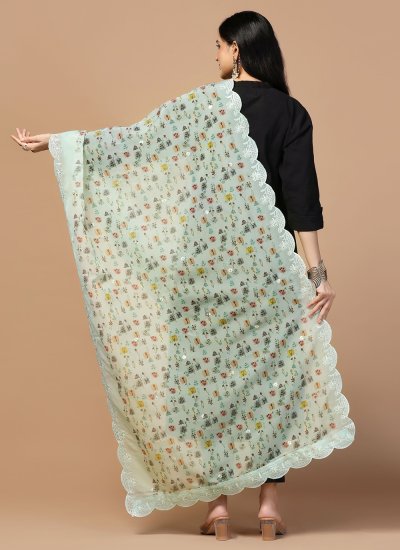 
                            Organza Embroidered Dupatta in Cream