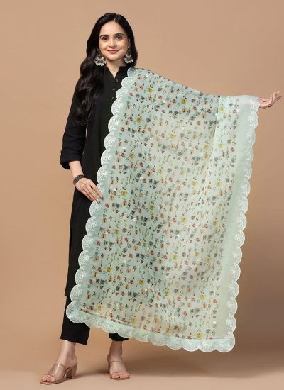 Organza Embroidered Dupatta in Cream
