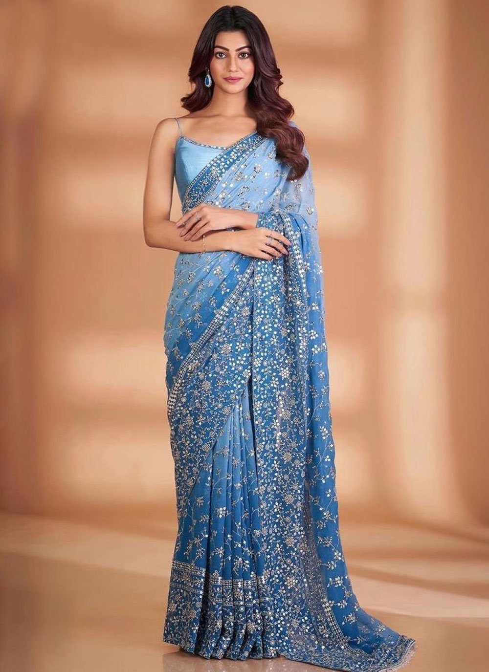 Handloom Aqua Blue Organza Saree with Embroidered Motifs And Sea Green –  WeaverStory