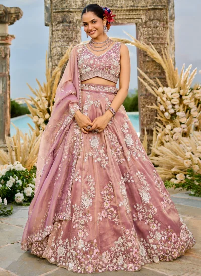 Glowing Tissue Embroidered Lehenga Choli