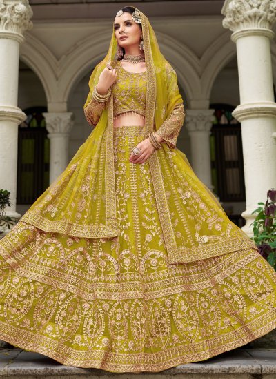 
                            Hypnotic Embroidered Net Trendy Lehenga Choli