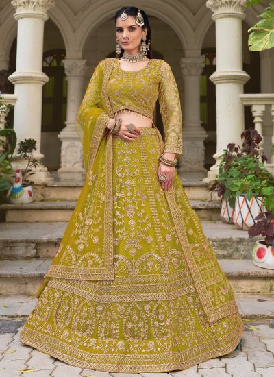 Hypnotic Embroidered Net Trendy Lehenga Choli