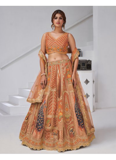 Ruritanian Banarasi Silk A Line Lehenga Choli