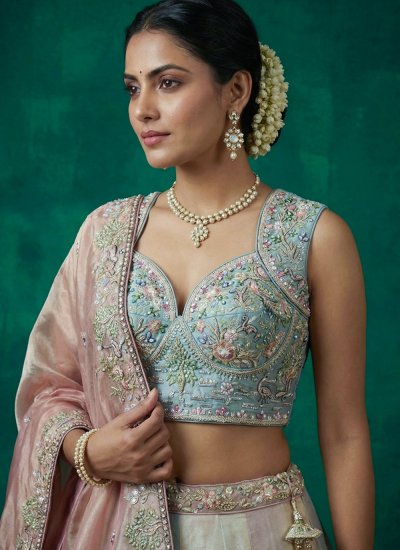 
                            Absorbing Embroidered Organza Designer Lehenga Choli