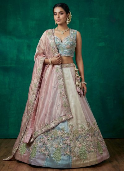 Absorbing Embroidered Organza Designer Lehenga Choli