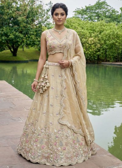 Beige Tissue Embroidered Lehenga Choli