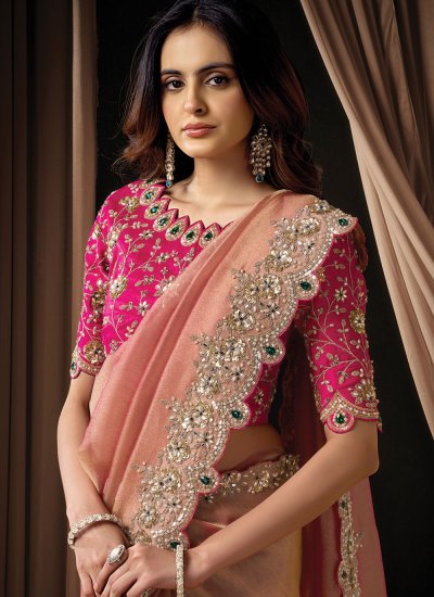 
                            Elegant Organza Embroidered Saree
