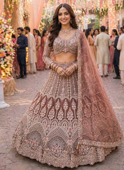 Fantastic Brown Reception A Line Lehenga Choli