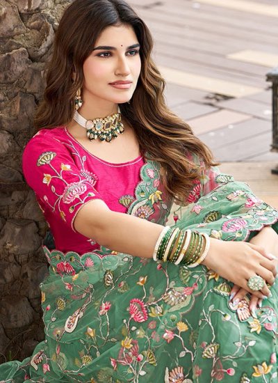 
                            Modish Net Engagement Classic Saree