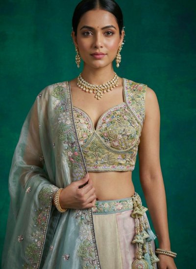 
                            Multi Colour Embroidered Organza Lehenga Choli