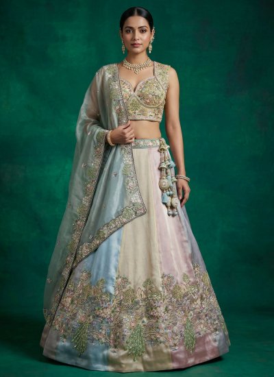 Multi Colour Embroidered Organza Lehenga Choli