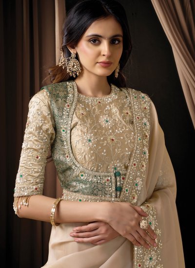 
                            Saree Stone Organza in Beige