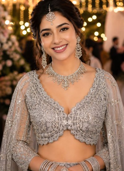 
                            Scintillating Grey Embroidered Net Lehenga Choli