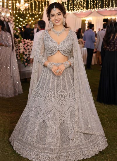 Scintillating Grey Embroidered Net Lehenga Choli