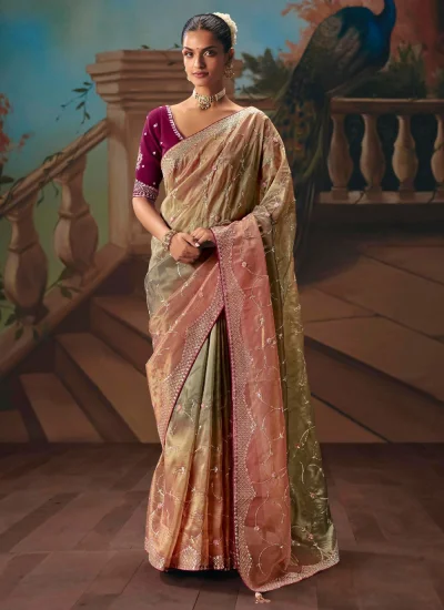 Striking Fancy Fabric Sequins Trendy Saree